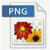 PNG fileformat ikon